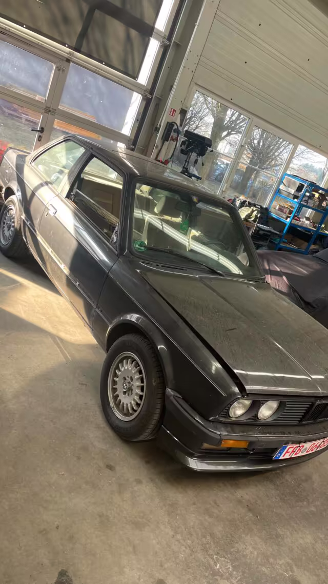 Wagenthaler Performance Instagram