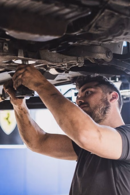 Wagenthaler Performance Inspektion nach Herstellerangaben Service
